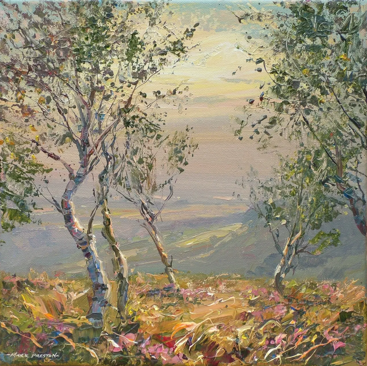 Mark Preston - evening light, froggatt edge
